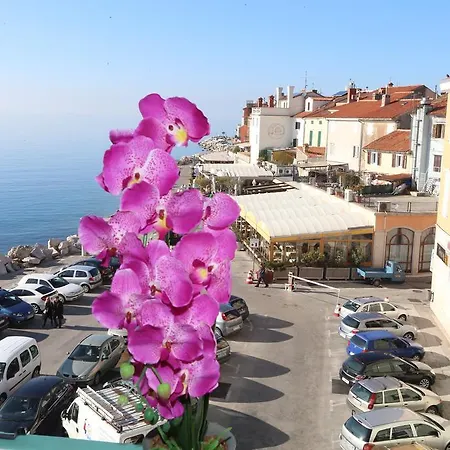 Allure 4 * Piran