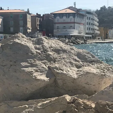 Allure 4 Piran